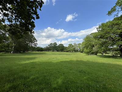 Picture 40